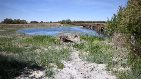 putas en daimiel|WFF contra el robo del agua en Las Tablas de Daimiel.